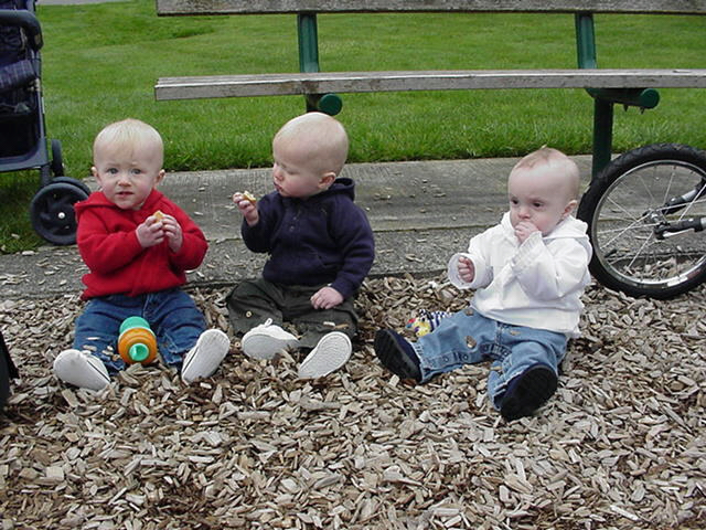 park9.jpg
